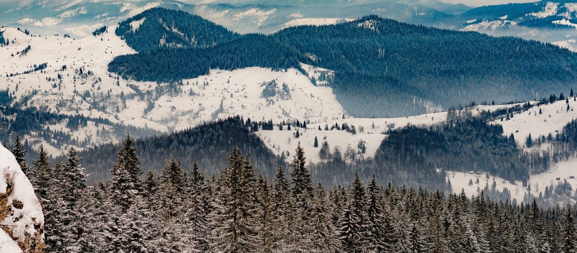 Bucovina